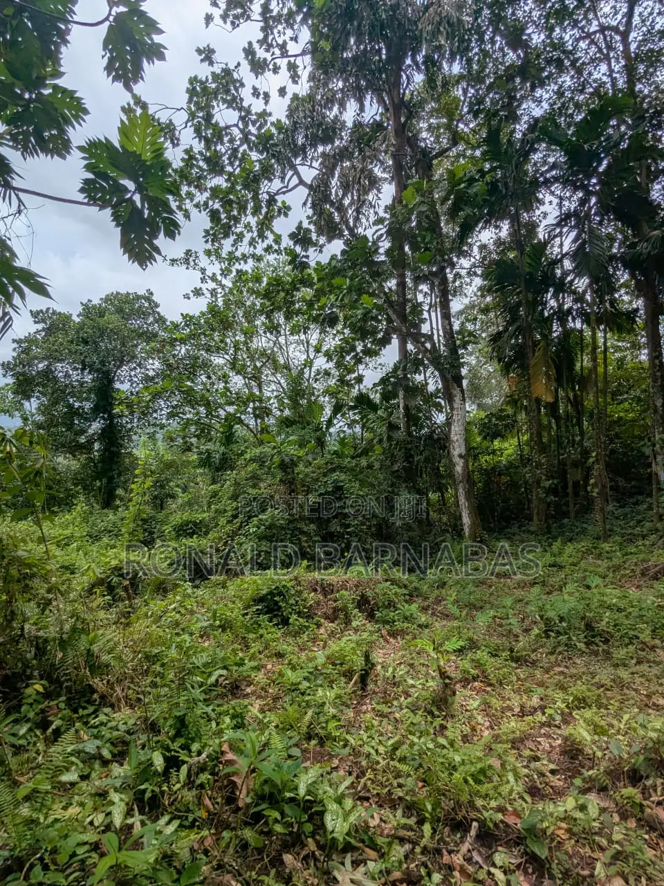 Land for Sale Buduruliya Hidagala