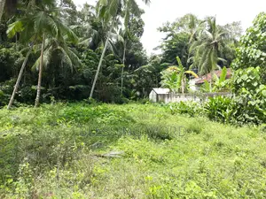 Land for Sale in Negombo