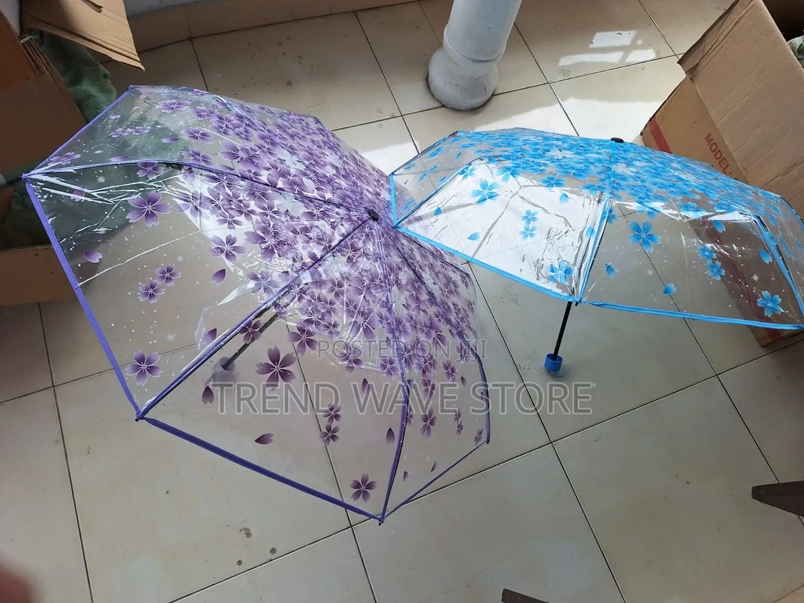 Sakura Transparent Umbrella