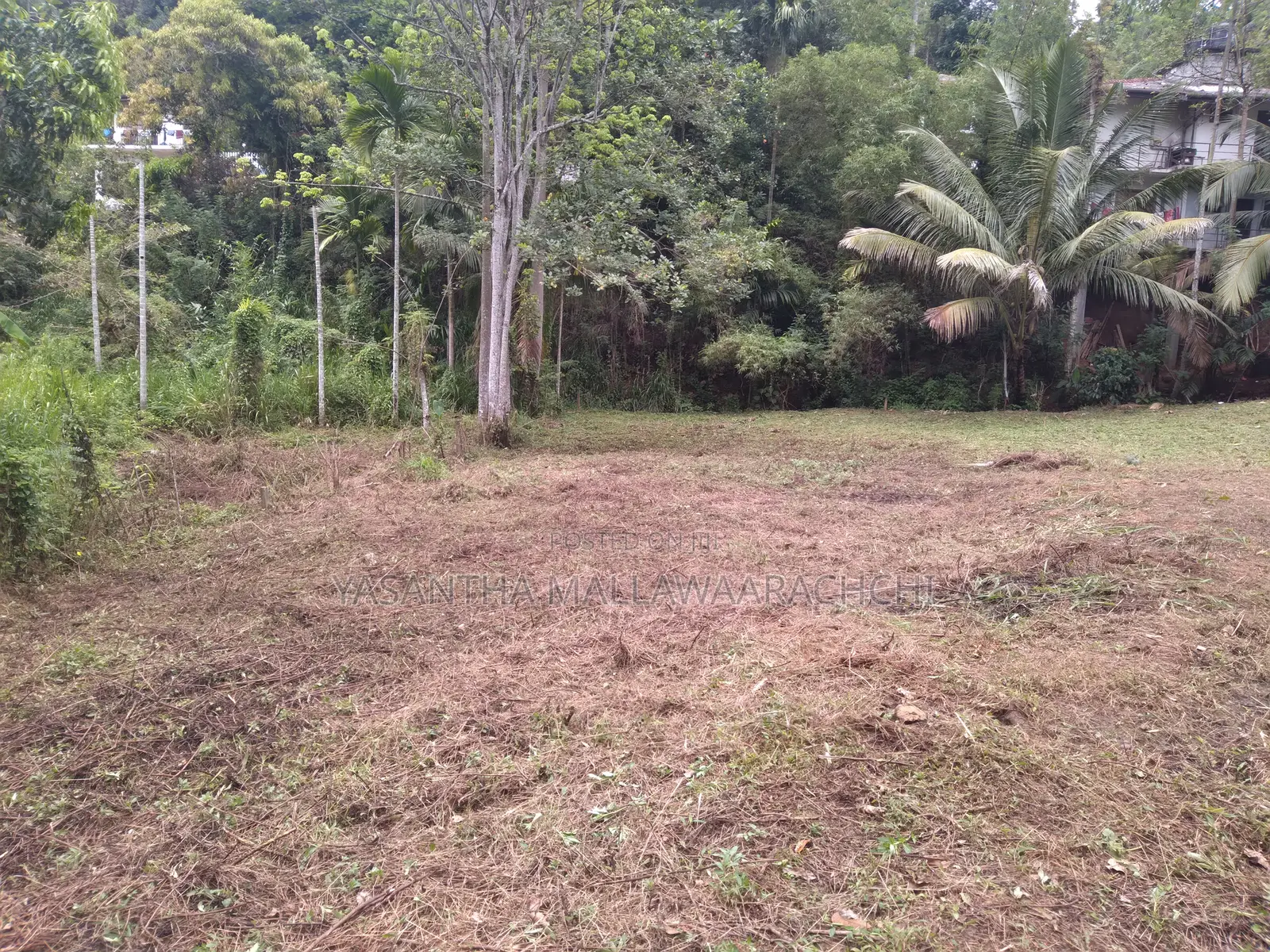 Perches 64 , තැනිතලා ඉඩම විකිණීමට