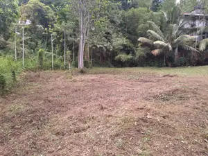 Perches 64 , තැනිතලා ඉඩම විකිණීමට