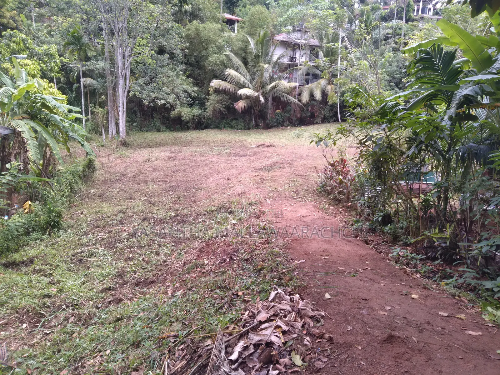 Perches 64 , තැනිතලා ඉඩම විකිණීමට