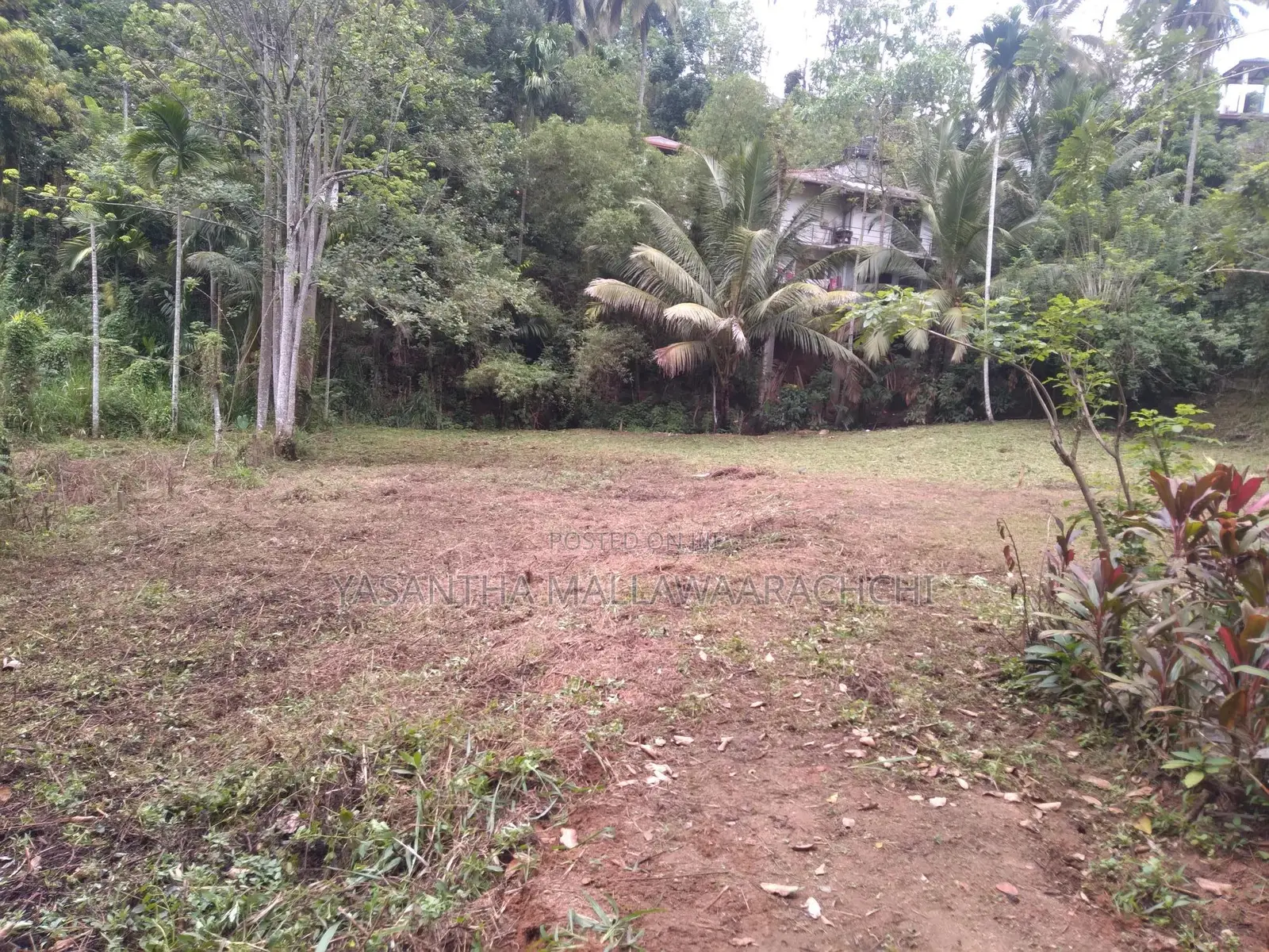 Perches 64 , තැනිතලා ඉඩම විකිණීමට