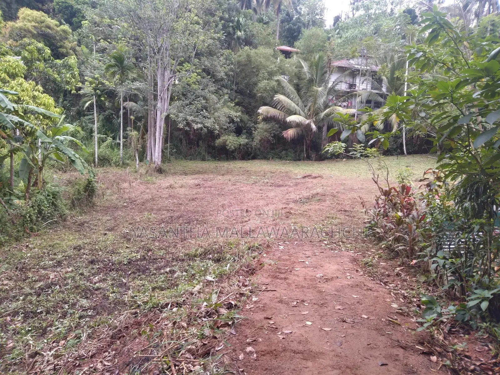 Perches 64 , තැනිතලා ඉඩම විකිණීමට