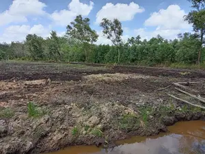 මැණික් බලපත්‍ර සහිත ඉඩම 209 Purchase