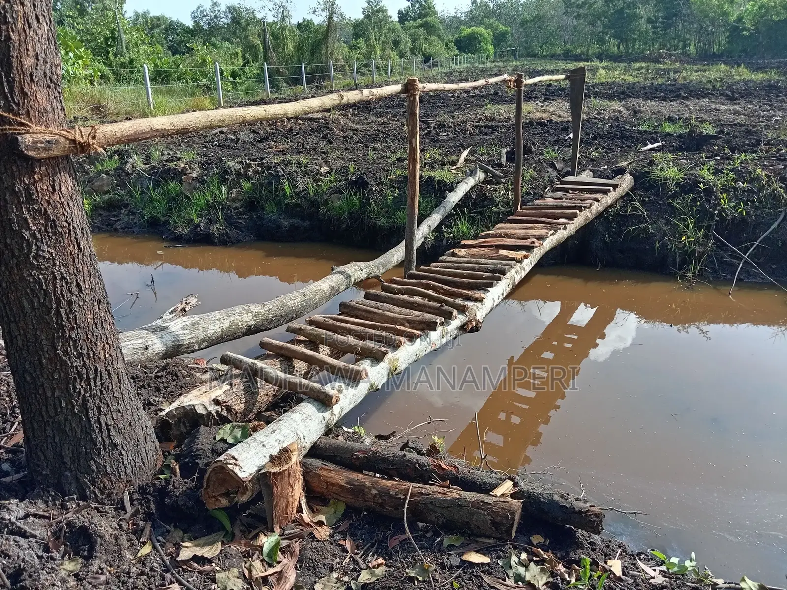 මැණික් බලපත්‍ර සහිත ඉඩම 209 Purchase