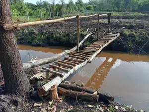 මැණික් බලපත්‍ර සහිත ඉඩම 209 Purchase