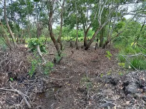 මැණික් බලපත්‍ර සහිත ඉඩම 209 Purchase