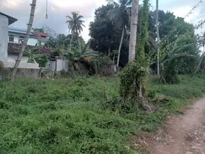 Coconut Land for Sale in Marawila