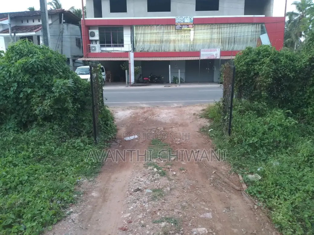 Coconut Land for Sale in Marawila