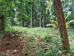 Land for Sale in Madawala Ulpatha Town