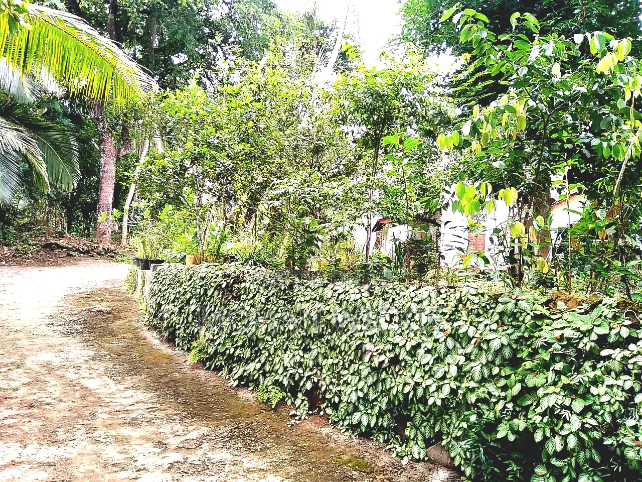 Furnished 6bdrm Villa in Colonial House, Weligama for sale