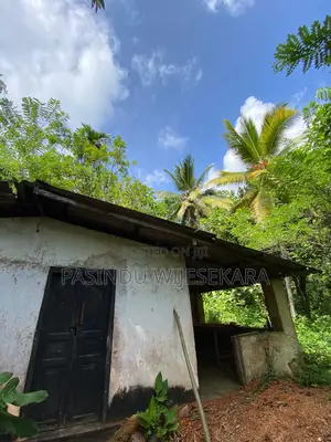 7 Acres Tea Estate for Sale in Erathna, Kuruwita