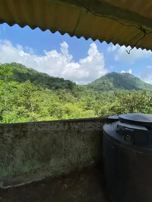 7 Acres Tea Estate for Sale in Erathna, Kuruwita