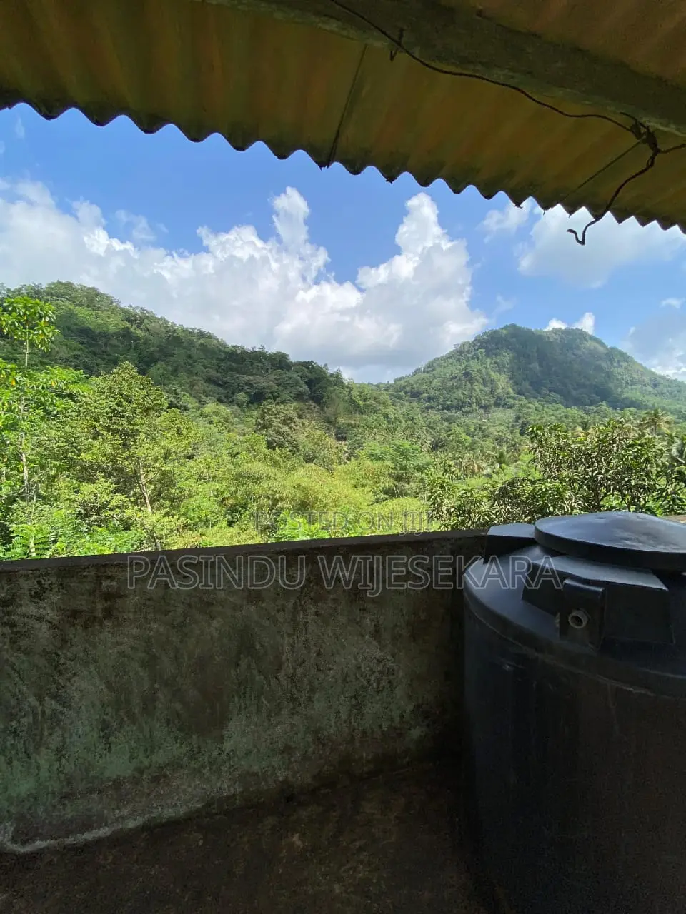 7 Acres Tea Estate for Sale in Erathna, Kuruwita