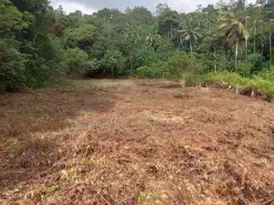 Photo - Leasing of Land