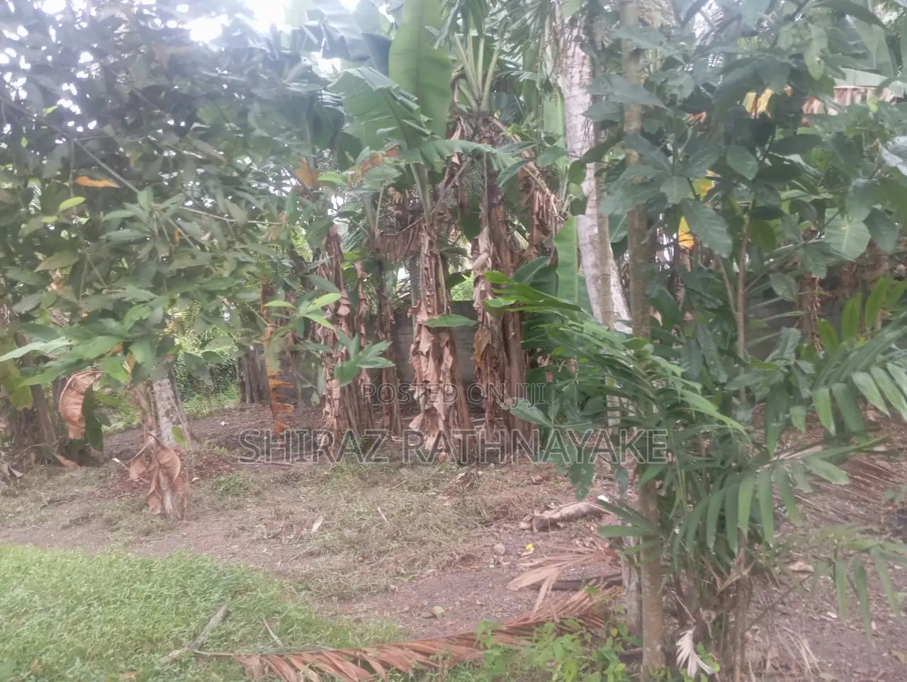 Land for Sale in Batuwatte