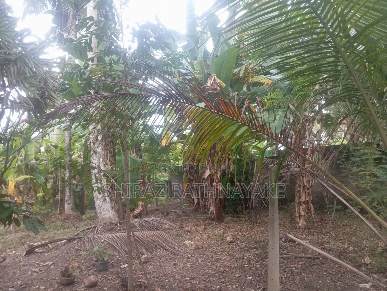Land for Sale in Batuwatte