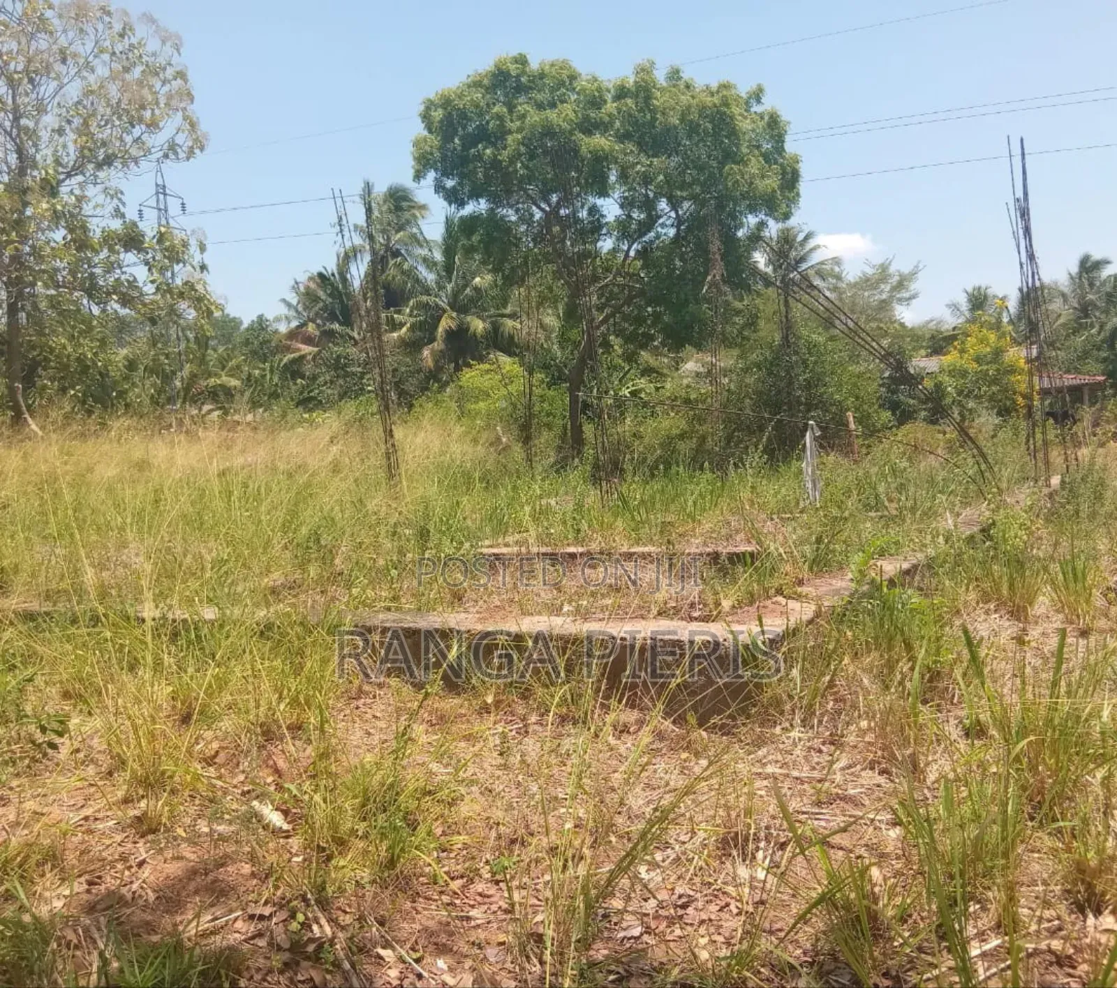 Land for Sale in Mihinthale/ මිහින්තලේ ඉඩමක් විකිණීමට