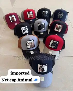 Animal Net Cap(Best Qulity)