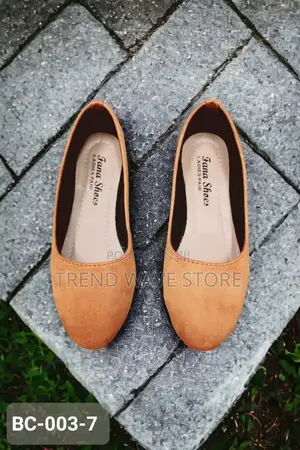 Suede Shoes for Women
