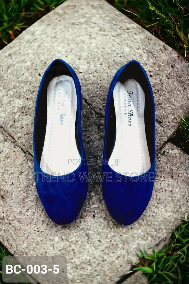 Suede Shoes for Women