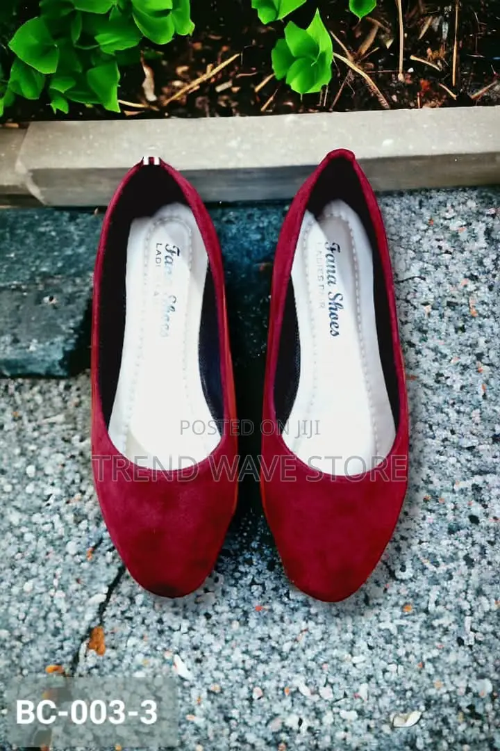 Suede Shoes for Women