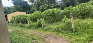 Photo - Land for Sale in Kahathuduwa 17.20 Perches