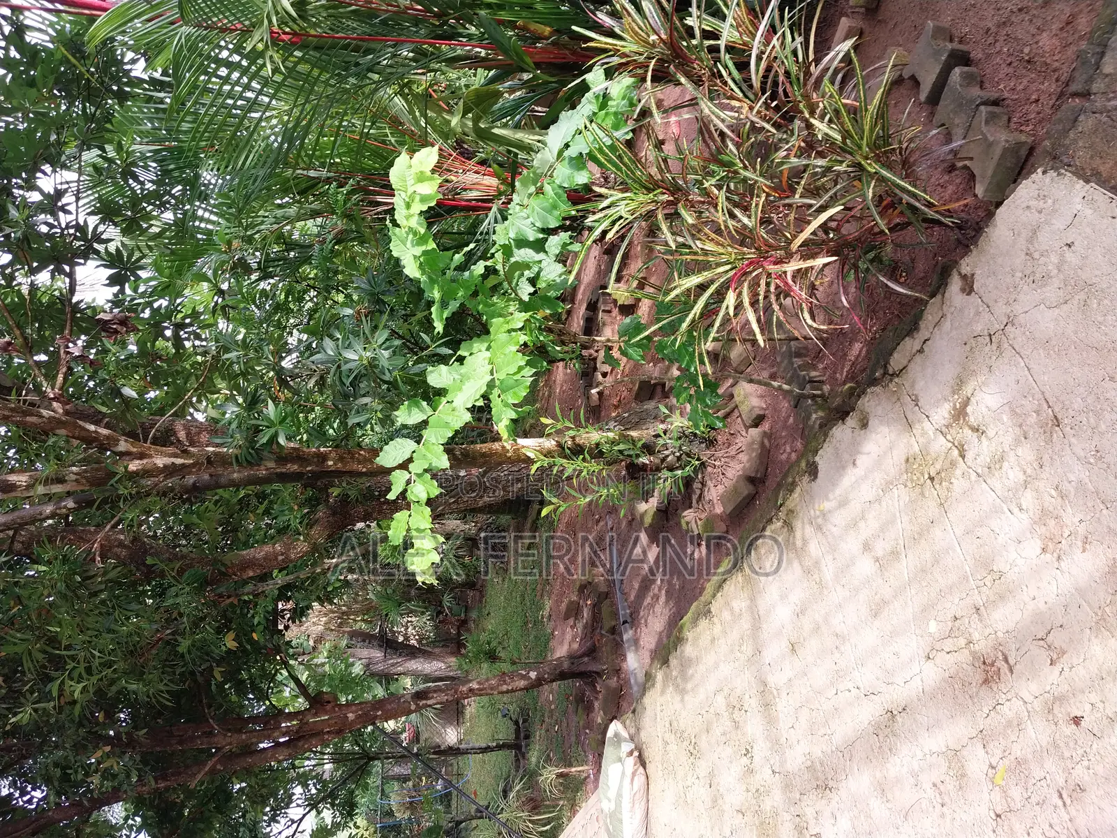 Furnished 2bdrm House in Horagasmulla, Divulapitiya for sale