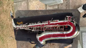 Alto Saxophone