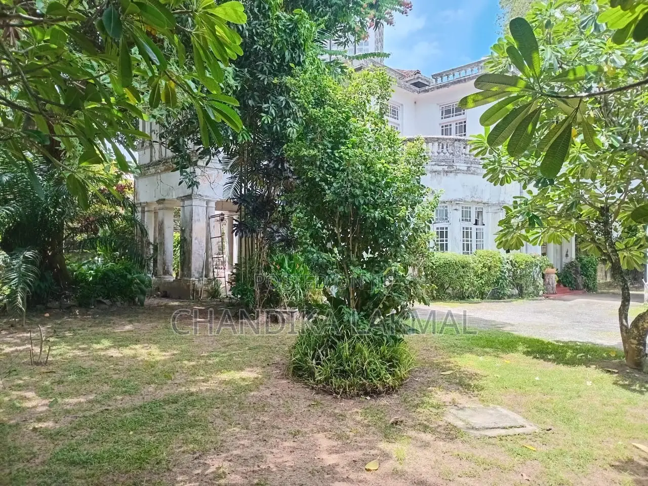 Home Land Colombo 07 Wijerama Mawatha