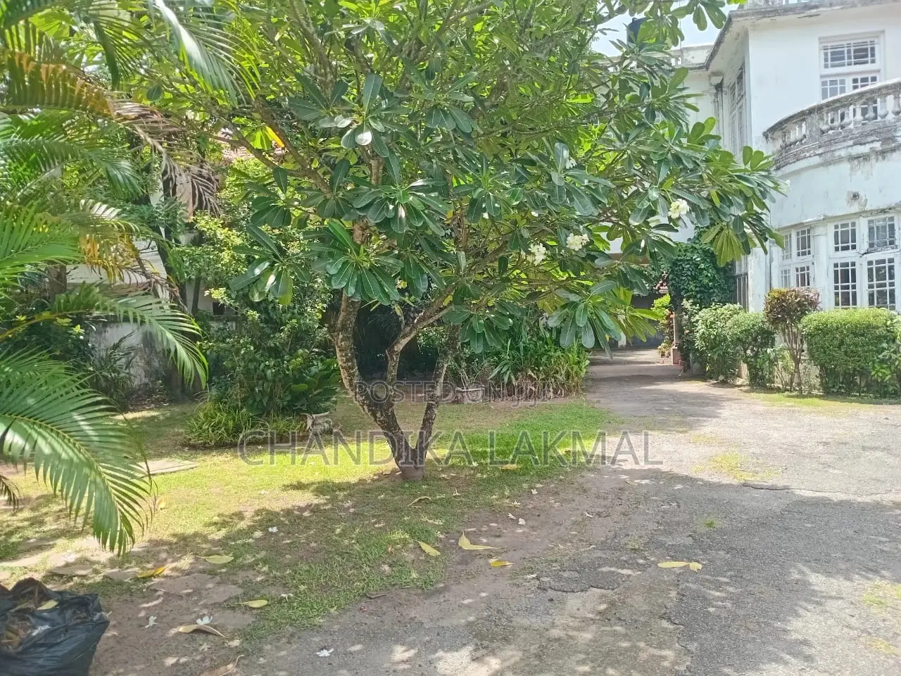 Home Land Colombo 07 Wijerama Mawatha