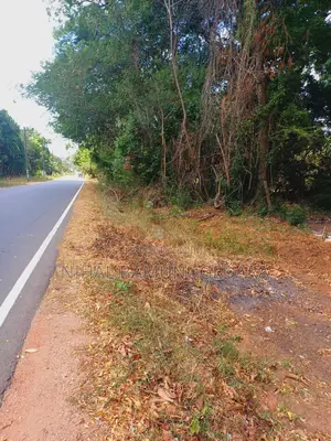 Photo - Land for Sale in Galgamuwa, Kurunegala
