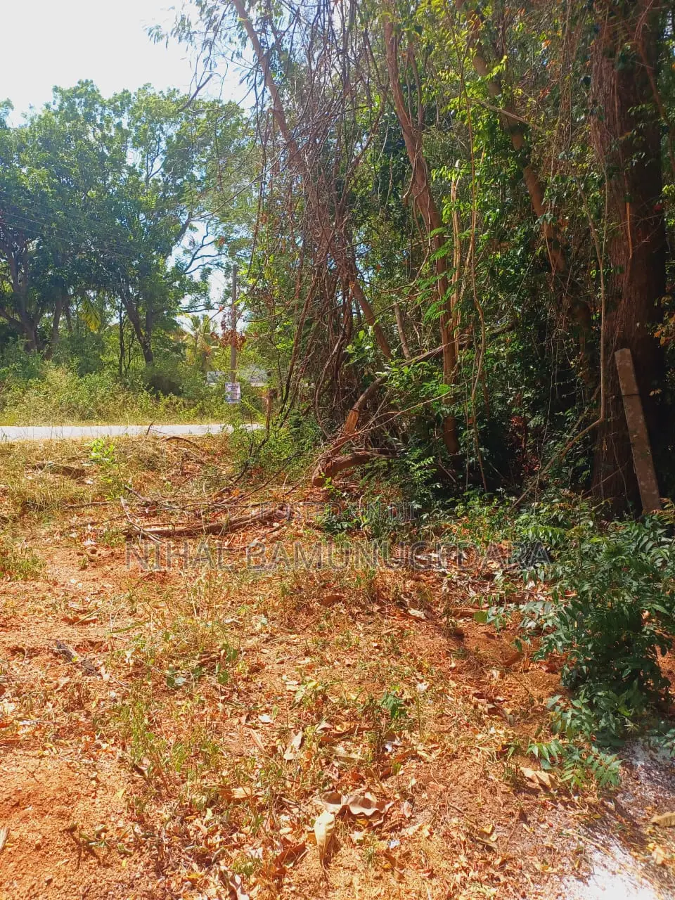 Land for Sale in Galgamuwa, Kurunegala