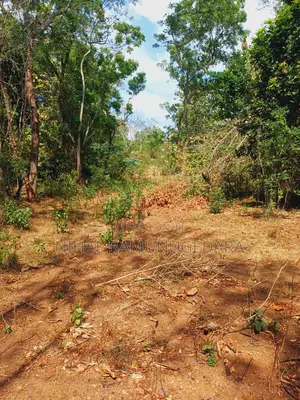 Land for Sale in Galgamuwa, Kurunegala