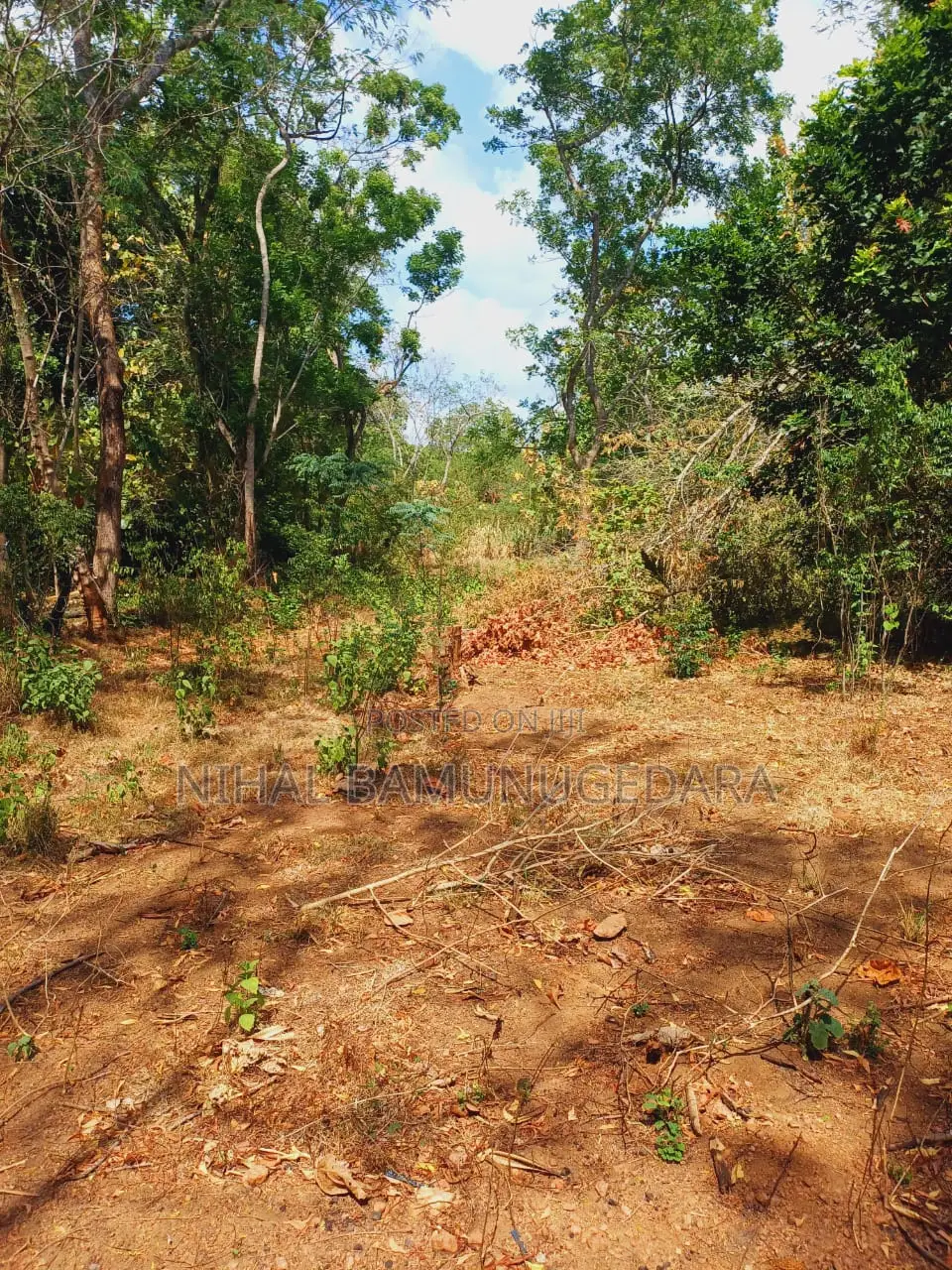 Land for Sale in Galgamuwa, Kurunegala