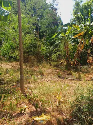 Land for Sale in Galgamuwa, Kurunegala