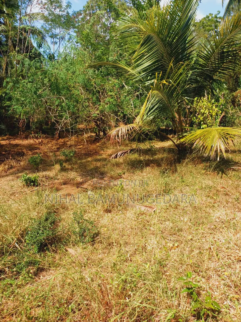 Land for Sale in Galgamuwa, Kurunegala