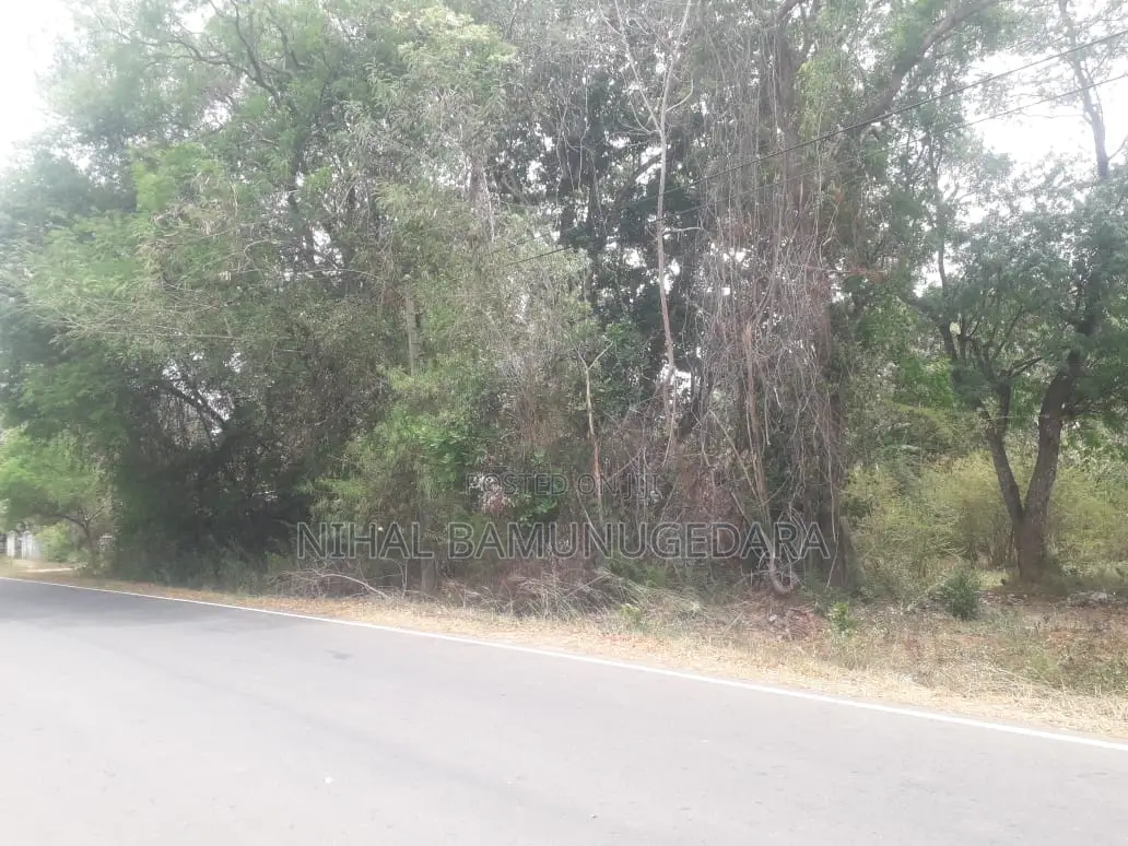 Land for Sale in Galgamuwa, Kurunegala