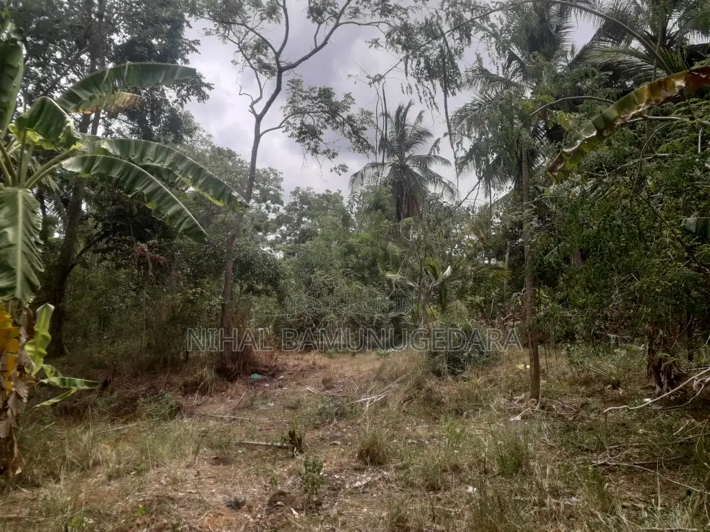 Land for Sale in Galgamuwa, Kurunegala