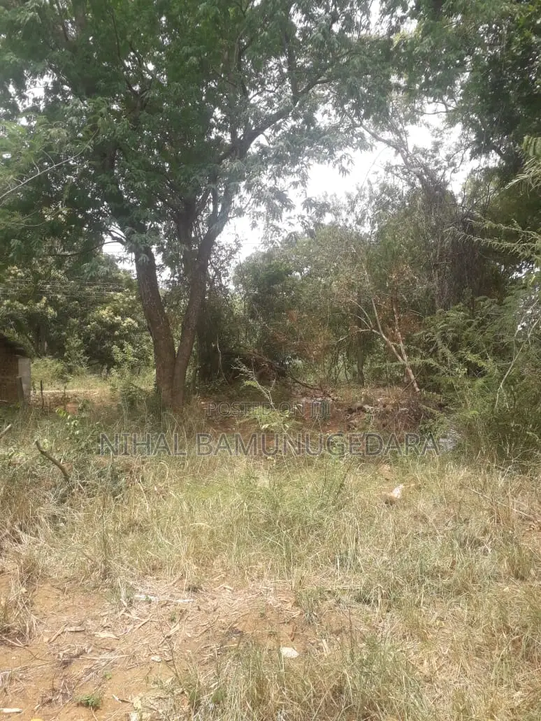 Land for Sale in Galgamuwa, Kurunegala