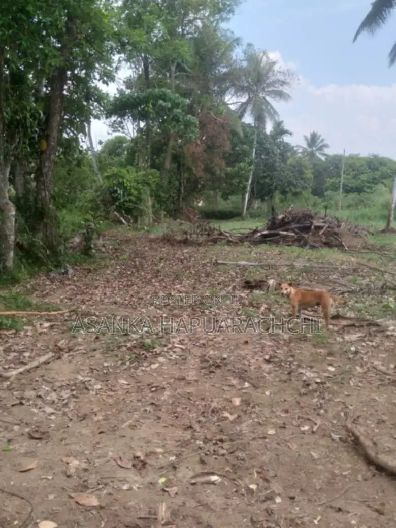 Land for Sale Near Bandaragama