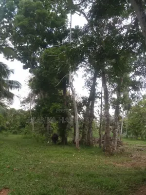 Land for Sale Near Bandaragama