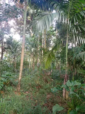 Land for Sales Quickly