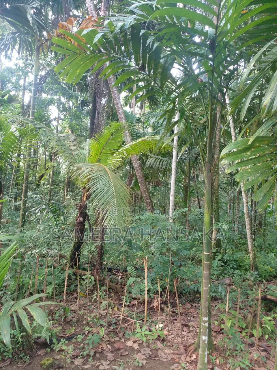 Land for Sales Quickly