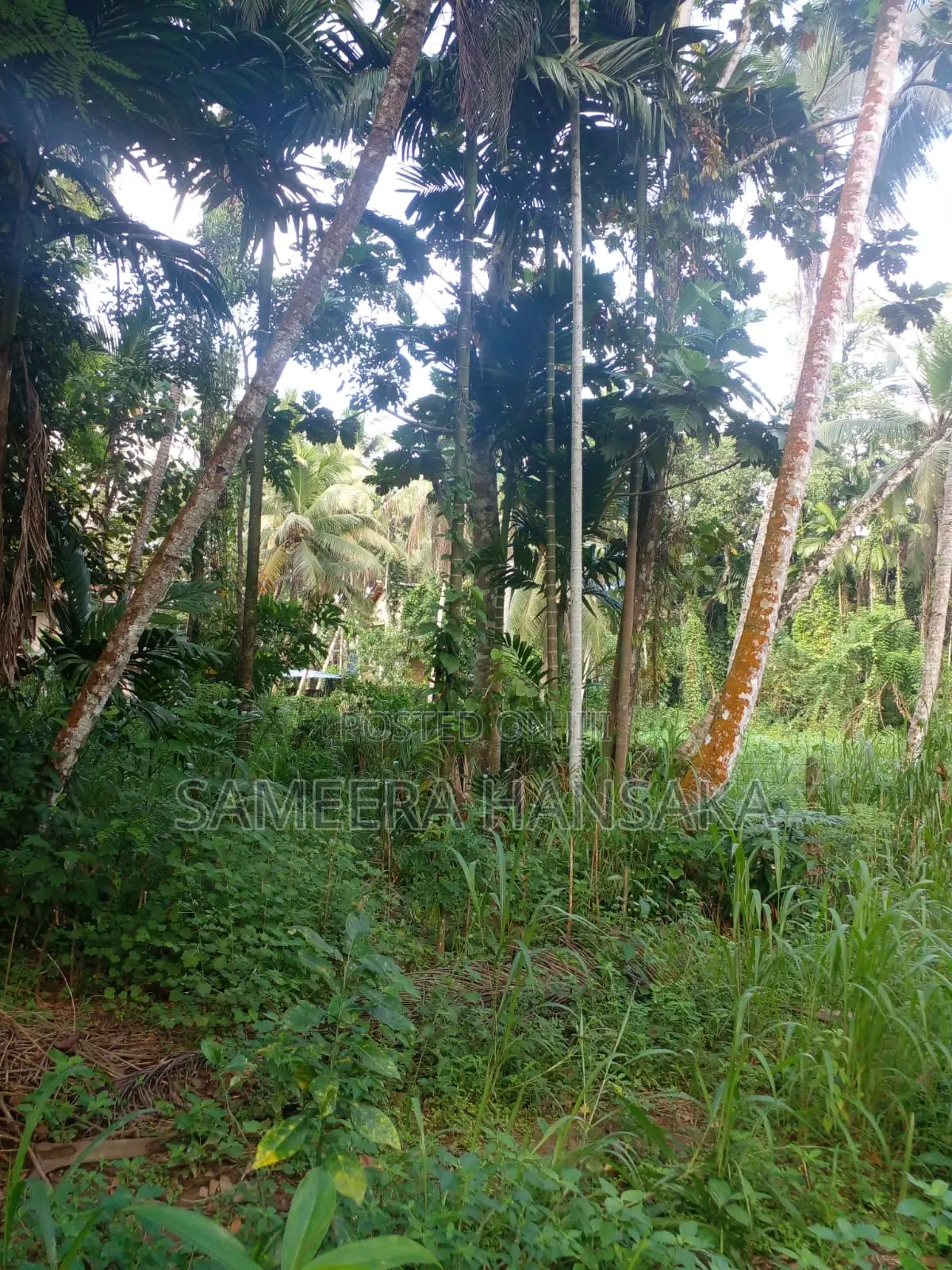 Land for Sales Quickly