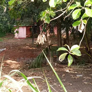 Land for Sale in Narammala Kurunegala