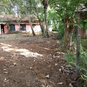 Land for Sale in Narammala Kurunegala