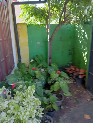 3bdrm House in Dehiwala-Mount Lavinia for sale