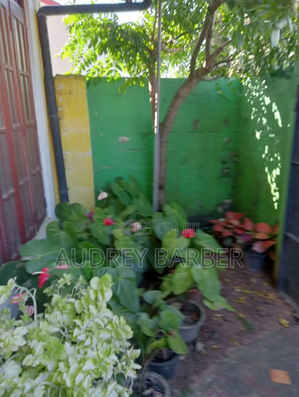 3bdrm House in Dehiwala-Mount Lavinia for sale